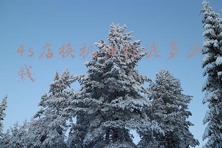 机油机滤换一次多少钱《宝马机油机滤换一次多少钱》