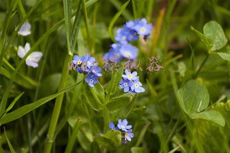 手机端pc模拟器(教你用电脑操控安卓手机！还能打王者荣耀！网友：轻松上王者！)