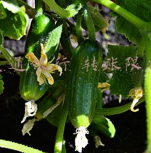 交通银行 转账限额