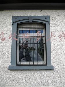 宠物店收狗多少钱一只