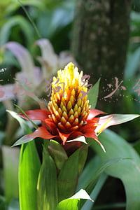 狗狗可以卖到宠物店吗：把狗狗卖到宠物店能卖多少钱