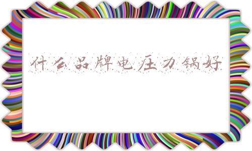 什么品牌电压力锅好