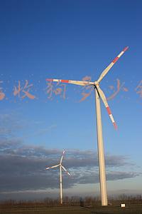 宠物店寄养狗多少钱；宠物店寄养狗多少钱一天