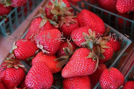 圣元优博婴儿配方奶粉