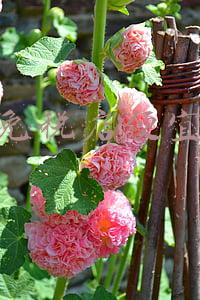 三亚免税店价格便宜吗(三亚免税店真的便宜吗)