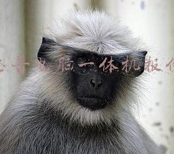 惠普电脑一体机怎么拆(惠普推出可拆卸式和一体式Chrome OS电脑)