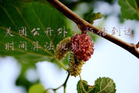 美团公开外卖预估到达时间算法规则 美团公开外卖预估到达时间算法规则