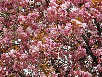 双人闯关小游戏大全 双人闯关小游戏大全