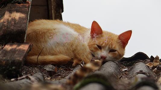 淘宝崩溃了 淘宝崩溃了