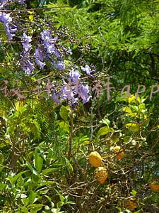 免费室内设计软件app(发布首个云端3D设计软件，这家公司想在家居设计领域“弯道超车”)