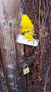 比探探陌陌还容易约到的软件