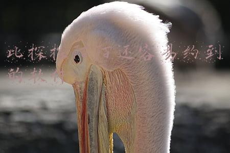 比探探陌陌还容易约到的软件