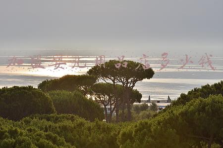 加盟母婴店需要多少钱?_加盟婴儿用品