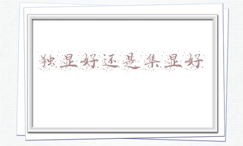 独显好还是集显好