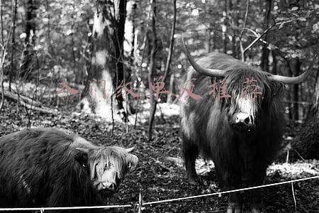 入门级单反推荐