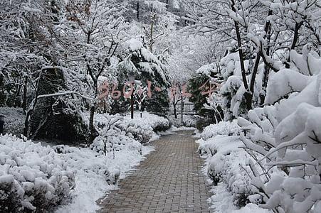 360小红伞引擎离线包(百度杀毒已经退市，第三方杀毒软件还有明天吗)