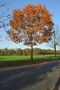空调睡眠模式是什么意思(夜间开空调 这些细节要做好)