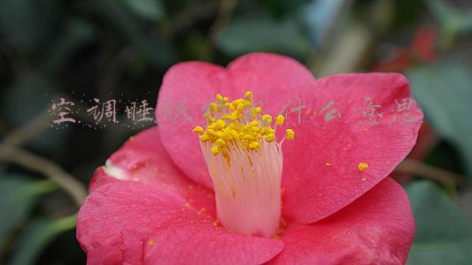 空调睡眠模式什么意思