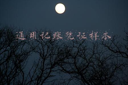 通用记账凭证样本