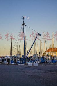 网站权重快速提升