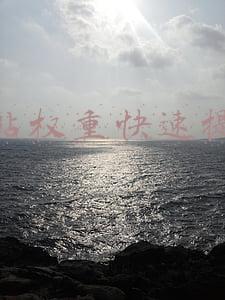 网站权重快速提升