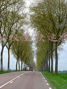 网站权重快速提升