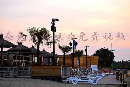 夸克在线观看免费视频