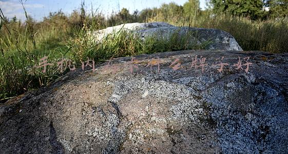 手机内存卡什么牌子好运行快(掌中TB时代 SanDisk Extreme存储卡的新贡献)