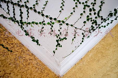 去实体店买充电宝一般要多少钱_充电宝在实体店买大概多少钱