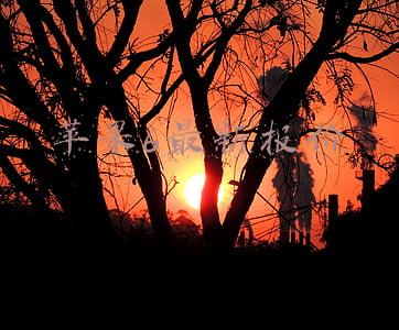 苹果6报价最新报价(跌破5000！苹果正式官宣，谁也没想到，一切竟来得如此之快)