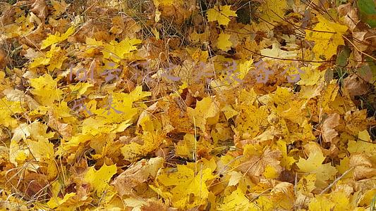 lol云顶之奕装备合成表s2(英雄联盟国服9.22版本上线云顶之奕S2元素来袭，装备合成表一览)