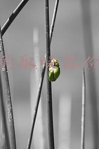 美的取暖器价格及图片(取暖干衣我都要 美的NDK16苏宁低至139元)