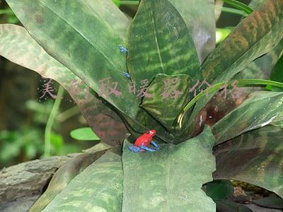 美的取暖器价格