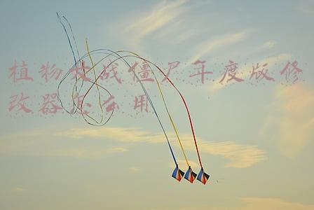 植物大战僵尸年度版修改器怎么用