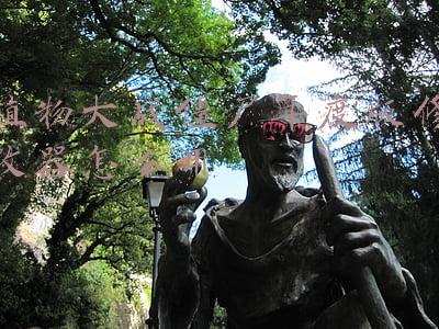 植物大战僵尸年度版修改器怎么用