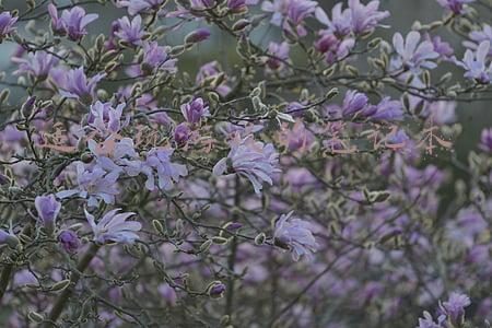 适合玩游戏的笔记本