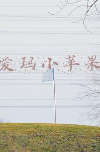 爱玛小苹果怎么提速(艾玛与守屋骑士 攻略)