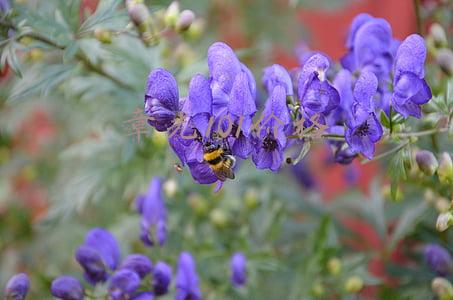 章光101价格怎么样(章光101再上“黑榜”！两款育发产品检出性激素)