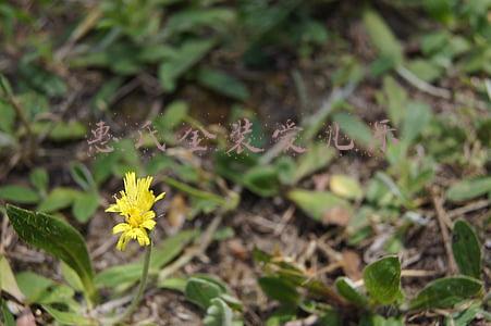 惠氏金装爱儿乐 港版(你家宝宝喝什么奶粉)