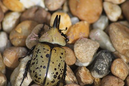 搭建企业邮箱服务器(如何申请一个免费的企业邮箱)