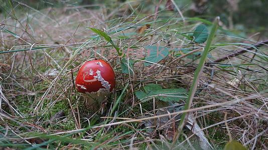 wireshark抓包命令(玩玩抓包-Wireshark的使用（6）菜单栏之捕获)