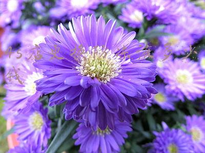 4s店保养换防冻液要钱吗《到4s店换防冻液要多少钱》