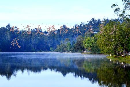4s店换防冻液多少钱；4s店换冷却液多少钱