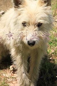 北京创业大厦属于哪个街道(北京中科金财科技股份有限公司 关于变更会计师事务所的公告)