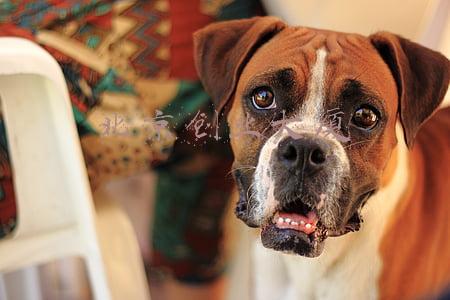 北京创业大厦有哪些公司(北京大学创业训练营烟台创新创业特训营（首期班）精彩回顾)