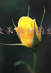 补水效果最好的护肤品有哪些(补水效果好的护肤品有哪些？这5款口碑超高不踩雷，值得收藏)