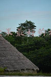 屈臣氏补水效果最好的护肤品(逛了那么多年屈臣氏，用经验告诉你这5款好物最值得买，好用到哭)
