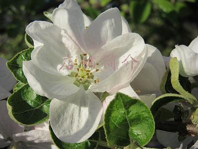 店铺简介范文(大学生奶茶店创业计划书（产品/服务介绍与店面选址）)