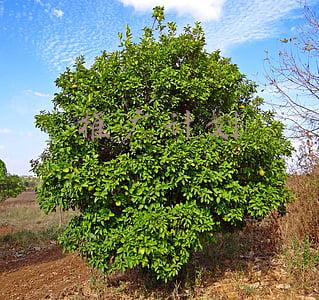 推广计划书(2019企业年度营销计划书模板（可根据自身企业情况直接套用）)