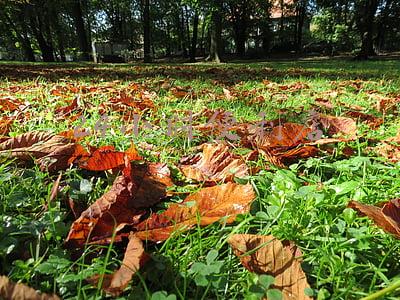 24小时便利店排行榜(24小时便利店指数 福州排名全国第四)